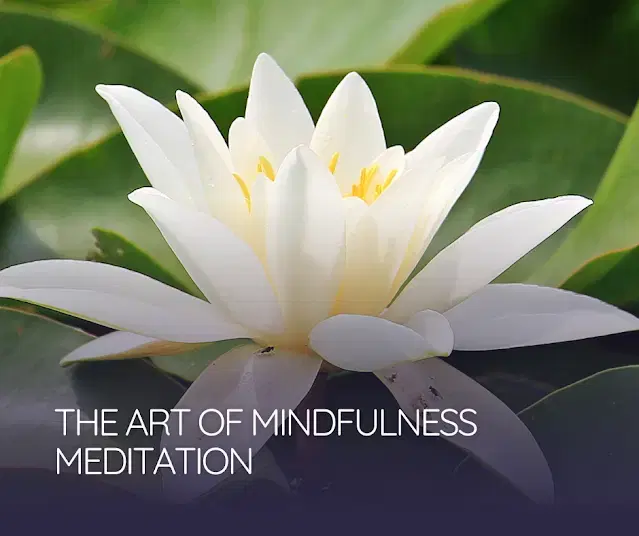 The Art of Mindfulness Meditation